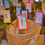 Déco d'accueil
