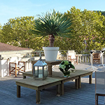 La terrasse