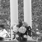 La terrasse