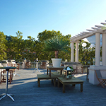 La terrasse